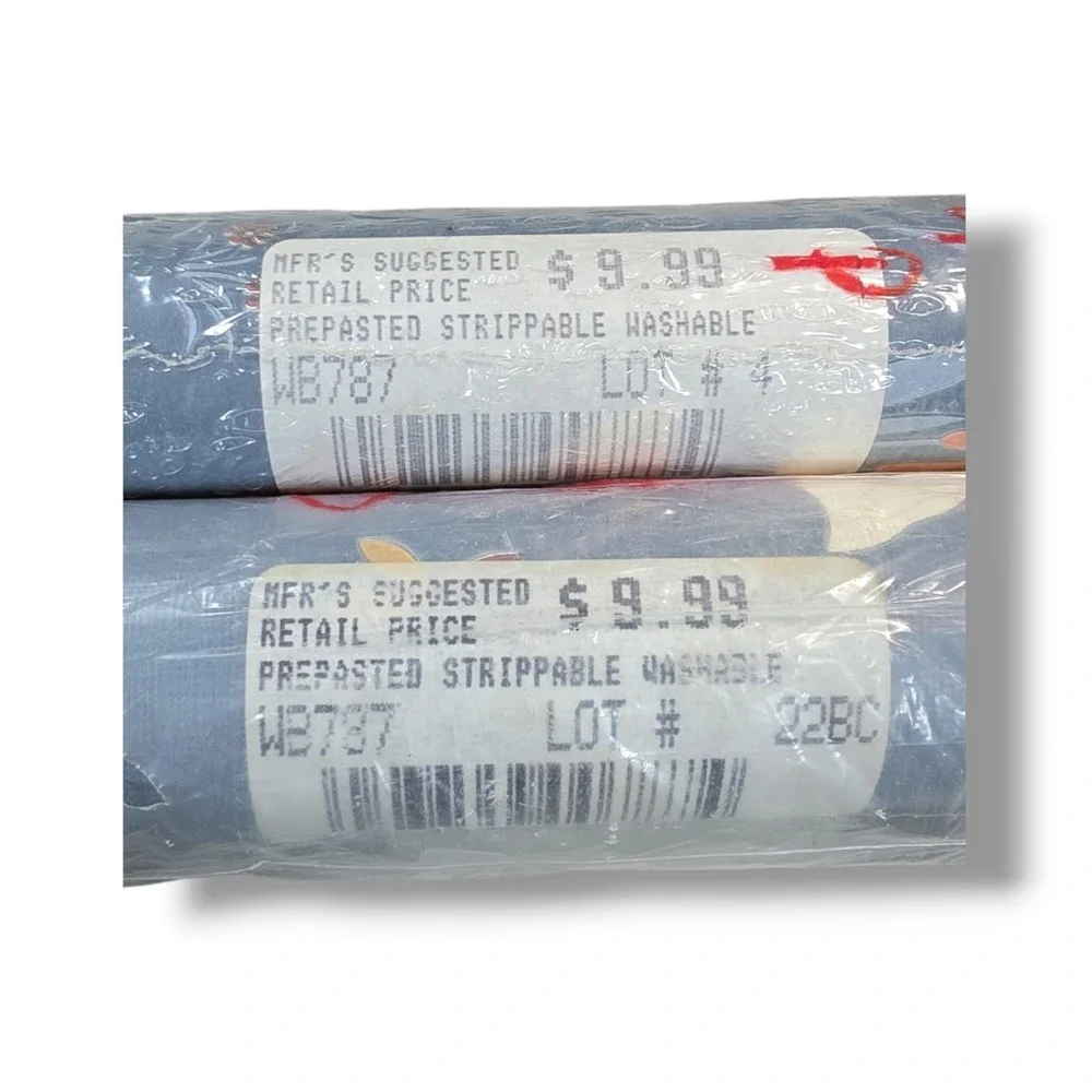 Vintage Duck Wallpaper Border 2 Rolls 15' x 6